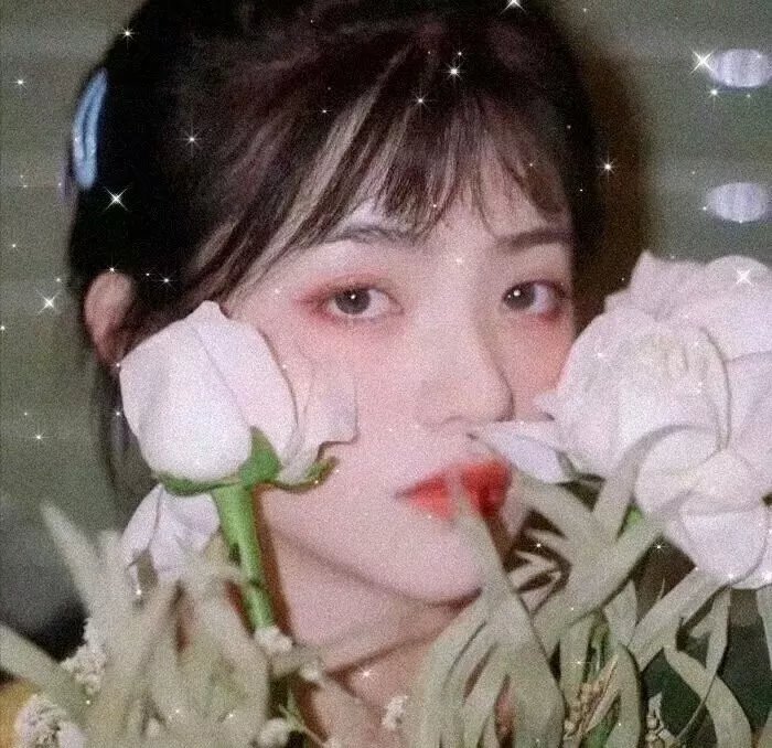 灰姑娘复仇记
